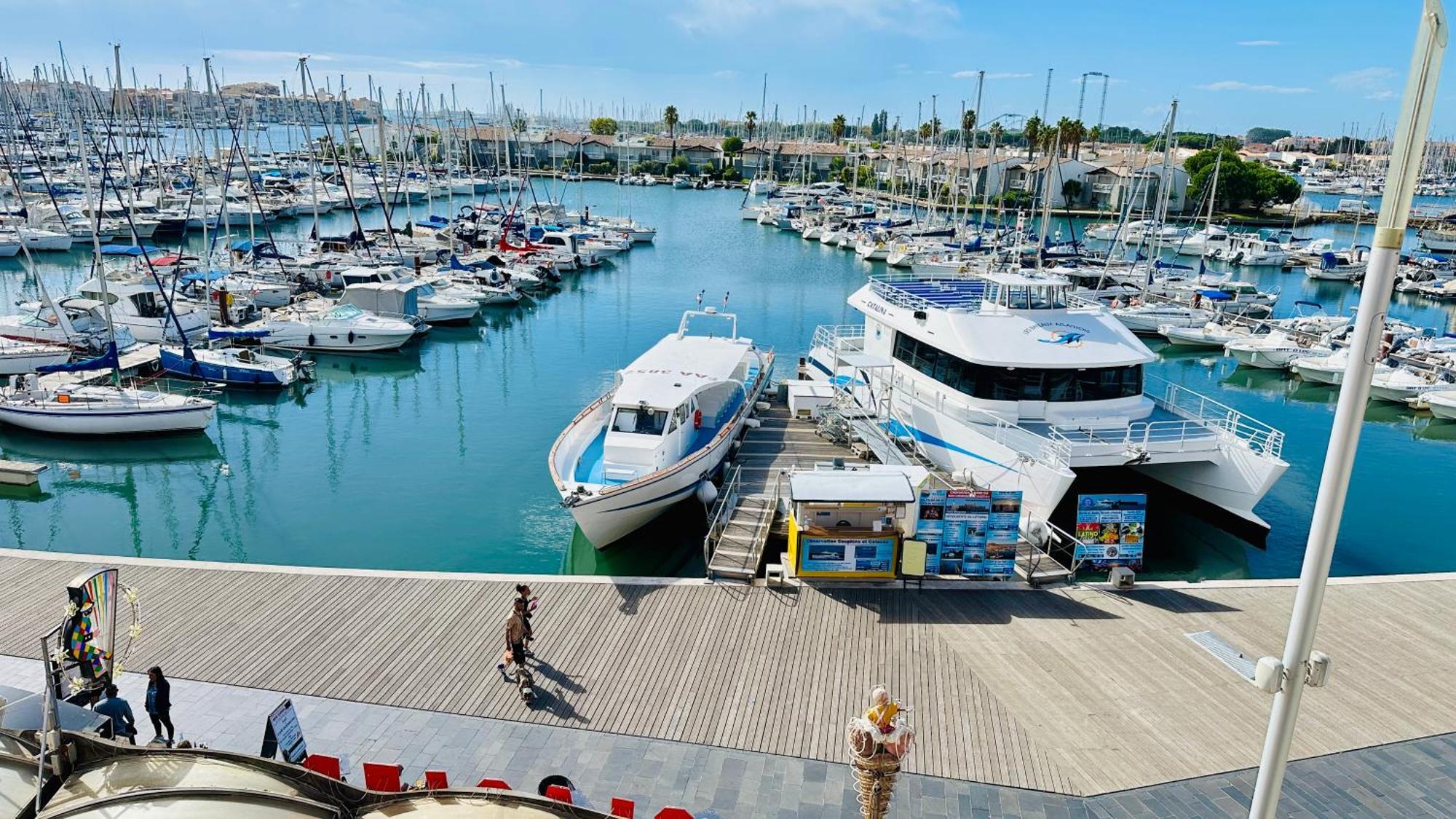 Apartment Face Au Port Agde